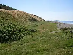 Küstenabschnitt bei Struer