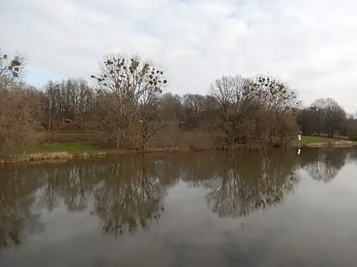 Nordufer der Leine an der Stelle des früheren Leinehafens, Zustand Anfang 2016 mit der Schnellstraße Bremer Damm im Hintergrund