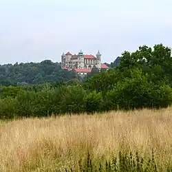 Burg Wiśnicz im Wiśnicz-Lipnicaer Landschaftspark