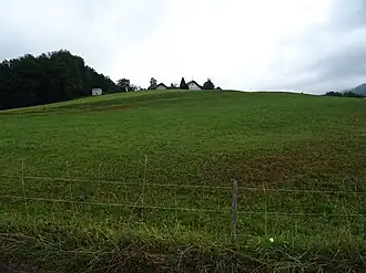 Der Nußdorfer Hügel