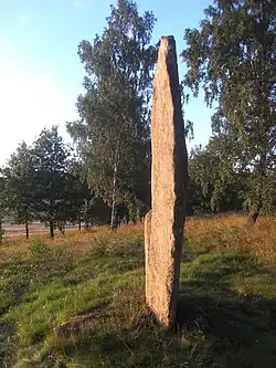 Bautastein auf Nycklabacken