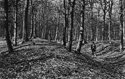 Wall und Graben bei Wp 1/59