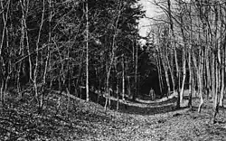 Wall und Graben zwischen Wp 1/59 und 1/60