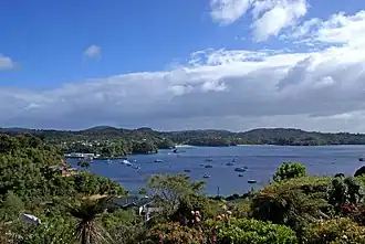 Stewart Island