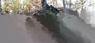 Ausgearbeitete Nordostecke des nördlichen Burgteils