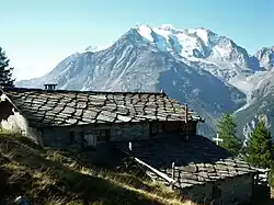 Obere Schwarze Wald mit Balfrin.