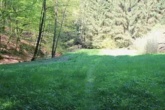 Ehemaliger Standort der Oberen Teufelsmühle