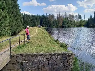 Oberer Hahnebalzer Teich, Damm und Wasserfläche von Nordwesten
