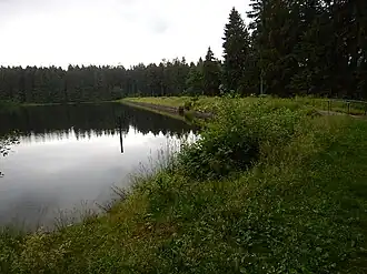Oberer Nassenwieser Teich, Damm und Wasserfläche