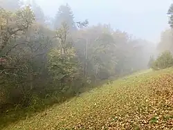 Oberes Orstel­tal (2022)