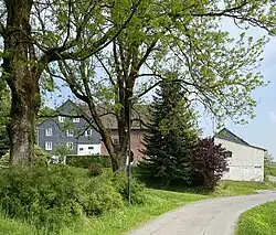 Mächtige Eschen am Ortseingang von Oberfeldbach