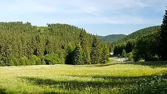 Im oberen Westerzgebirge bei Oberwildenthal
