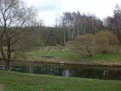 Bahndamm der ehemaligen Oberhohndorf-Reinsdorfer Kohlenbahn an abgerissener Muldenbrücke