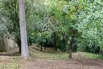 Verlandete Grabenreste der Wasserburg im Süden mit vermutlichen Resten der Burgmauerbefestigung