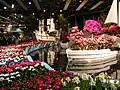 Blumenschau in den Weser-Ems-Hallen (2005)
