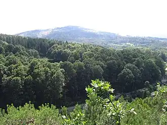Blick vom Birkberg (Olszak)