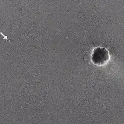 Landekrater (zum Vergrößern klicken)