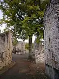 L'arbre de la liberté d'Oradour-sur-Glane
