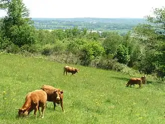 Blick vom Massif de l’Arbre nach Südost in Richtung Orgedeuil