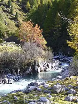 Orlegna, Abfluss des Fornogletschers