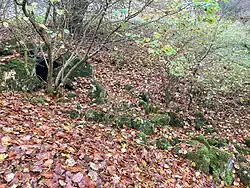 Orstel­graben im mitt­leren Orstel­tal (2022), Rohr­austritt ins Rückhalte­becken