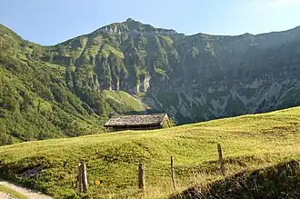 Gruberhorn von der Gruberalm (von Norden)