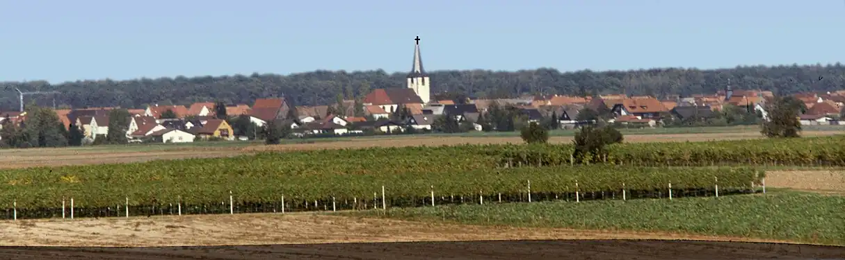 Panorama von Ottersheim