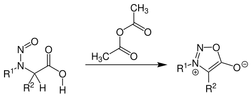 Übersichtsreaktion der Baker-Ollis-Sydnon-Synthese