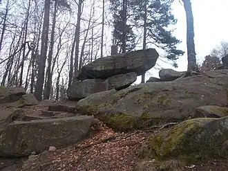 Gipfelbereich mit Pälzer Weltachs