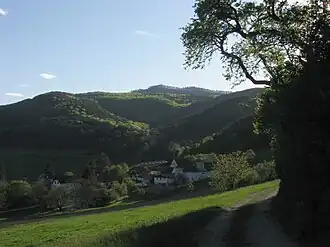 Pöllau (Gemeinde Hernstein) mit Waxeneck-Nordostgipfel von Nordosten