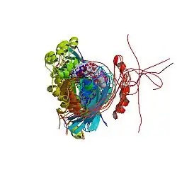 Wiskott-Aldrich-Syndrom-Protein
