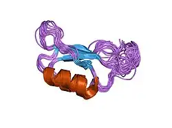 Proprotein-Convertase 1