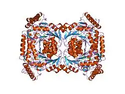 5-Aminolävulinatsynthase, unspezifische