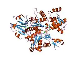 Neurales Wiskott-Aldrich-Syndrom-Protein