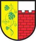 Wappen von Witnica