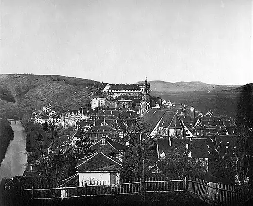 Tübingen und das Schloss Hohentübingen (1875)