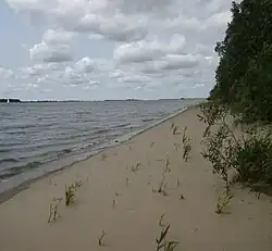 Pagensand, Westufer nahe der Südspitze (zu Nds. gehörend)