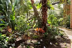 Palmenhaus nach der Neubepflanzung 2015