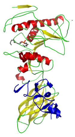 Colipase