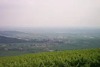 Ilassi im Valpolicella