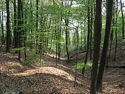 Märkische Schweiz am nordöstlichen Teil