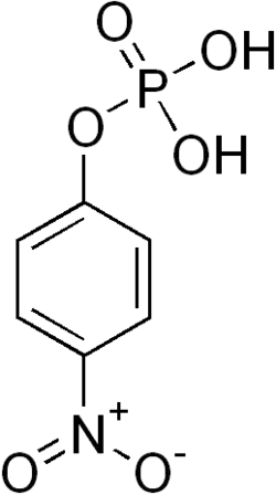 Strukturformel von pNPP