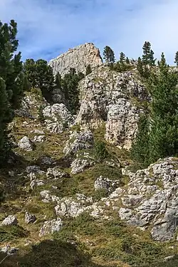 Details der Felssturzmasse