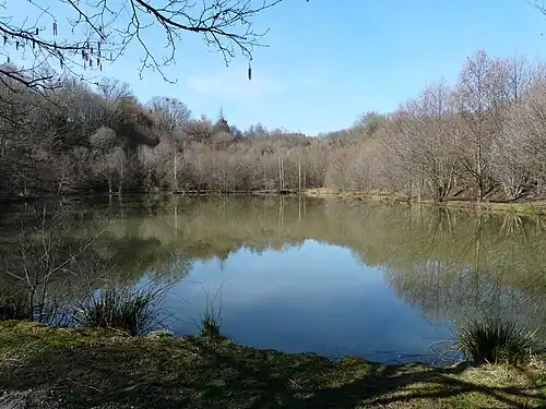 Weiher von Moulin du Chatain