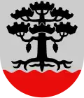Wappen von Petäjävesi