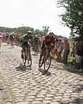 Peter Sagan bei der Tour de France 2018