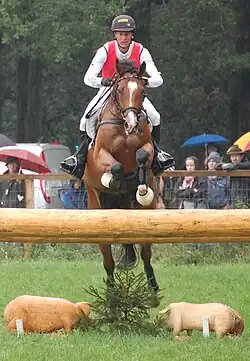 Peter Thomsen mit Barny, Europameisterschaften 2011