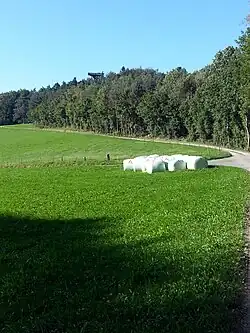 Aussichtsturm Petersboden