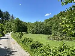 Unteres Pfengstbachtal