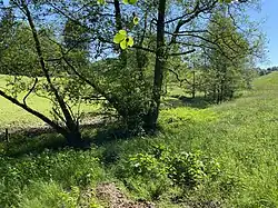 Unterbreidbach (links) und Oberbreidbach (rechts) vor der Mündung in den Pfengstbach